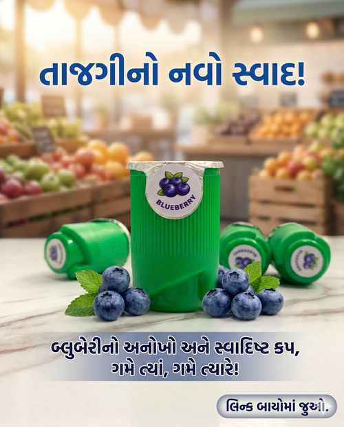 Blueberry Flavour Drink Mix | Fruit Water Enhancer Drops | Mixed Fruit Drink